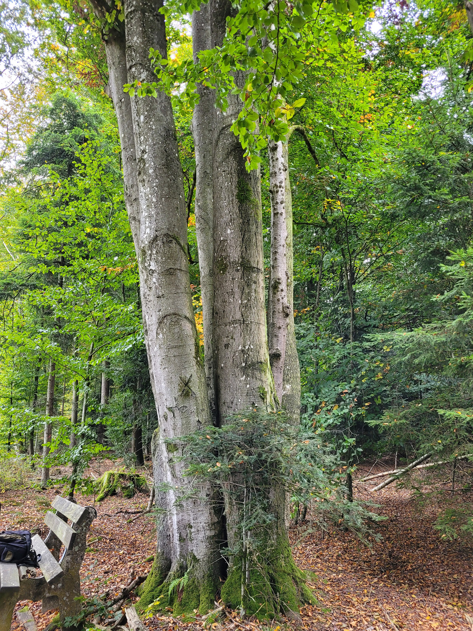 20231014095745 20231014 095744